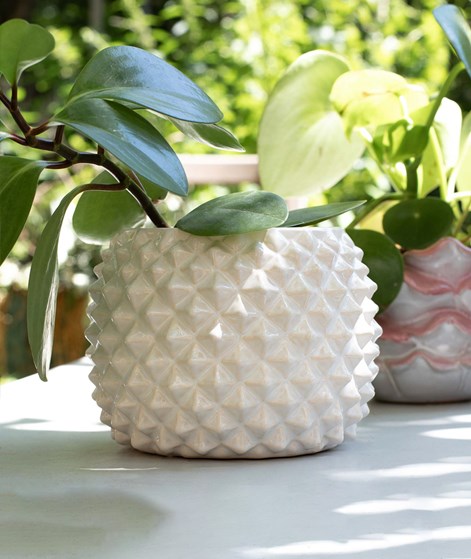 2HAVE Ananas (13x17) Blumentopf Weiß