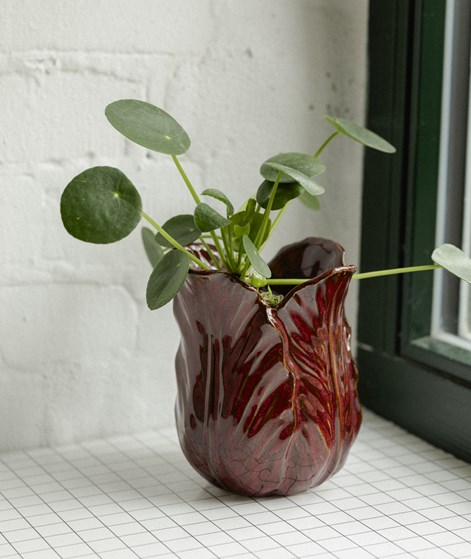 2HAVE Salat (16x15) Blumentopf Rot