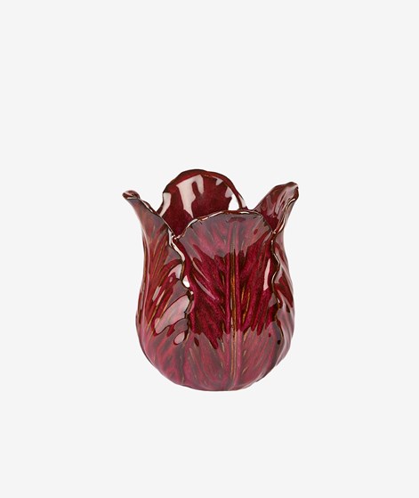 2HAVE Salat (16x15) Blumentopf Rot